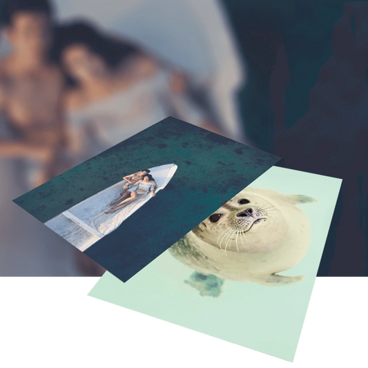 Indoor Posters