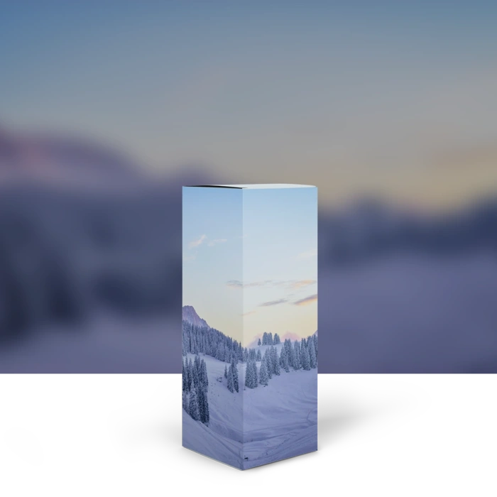 Promotional Boxes