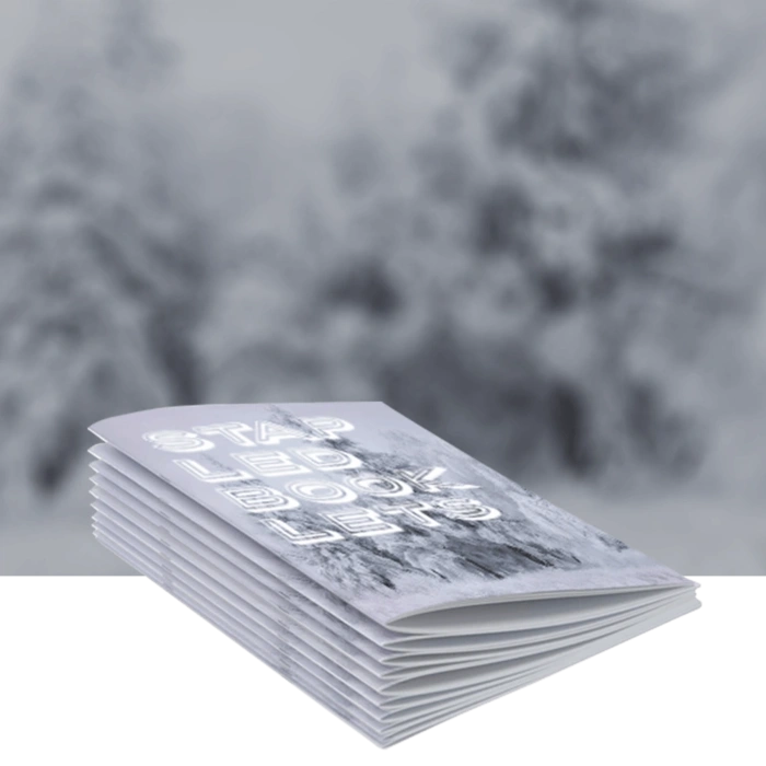 Saddle Stitched Booklets